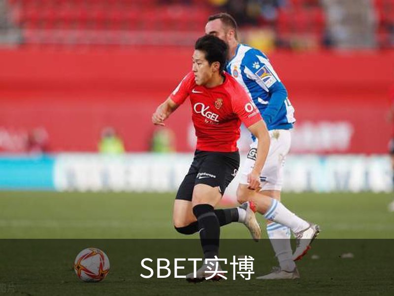 关于SBET实博